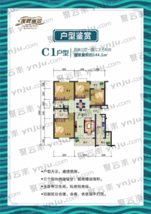 C1户型-144㎡
